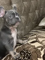 processed/f00e1cbd-7445-4631-a12c-5a8362dd86c3/listing/1fd386a1-c41b-4769-99c9-8d27bd91aa9d/2cc03489-da7b-44ce-93e4-336f10eac735