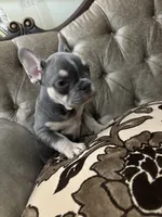 processed/f00e1cbd-7445-4631-a12c-5a8362dd86c3/listing/1fd386a1-c41b-4769-99c9-8d27bd91aa9d/32d26de7-22f7-461b-9ea3-f0b83d3fc344