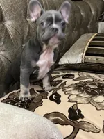 processed/f00e1cbd-7445-4631-a12c-5a8362dd86c3/listing/1fd386a1-c41b-4769-99c9-8d27bd91aa9d/75ed6e32-fcd8-4c22-9872-3ff45651c19e