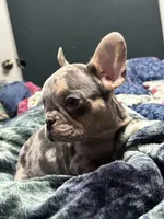 processed/f00e1cbd-7445-4631-a12c-5a8362dd86c3/listing/ac84ce17-f2b5-47c1-a82d-2f62bcaefcf0/55bf3039-3f34-4fcc-8af0-2ad56c1c7969