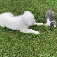 processed/f01143dc-56a8-4b7a-a9eb-a4e95b47c73f/facility/04fa64b4-6251-4d79-bf1e-62216622eb2a