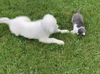 processed/f01143dc-56a8-4b7a-a9eb-a4e95b47c73f/facility/04fa64b4-6251-4d79-bf1e-62216622eb2a