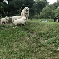 processed/f01143dc-56a8-4b7a-a9eb-a4e95b47c73f/facility/081932b1-b47e-4db0-b4e9-4fe2077711ab