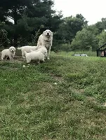 processed/f01143dc-56a8-4b7a-a9eb-a4e95b47c73f/facility/081932b1-b47e-4db0-b4e9-4fe2077711ab