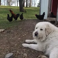 processed/f01143dc-56a8-4b7a-a9eb-a4e95b47c73f/facility/2e39ca9c-fd3c-45d2-87e8-dc90f2cb0f18