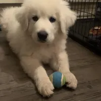 processed/f01143dc-56a8-4b7a-a9eb-a4e95b47c73f/facility/34ca4ccb-84f3-4581-a1e9-93b01c33de44