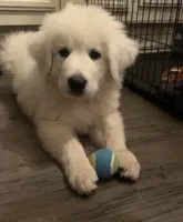 processed/f01143dc-56a8-4b7a-a9eb-a4e95b47c73f/facility/34ca4ccb-84f3-4581-a1e9-93b01c33de44