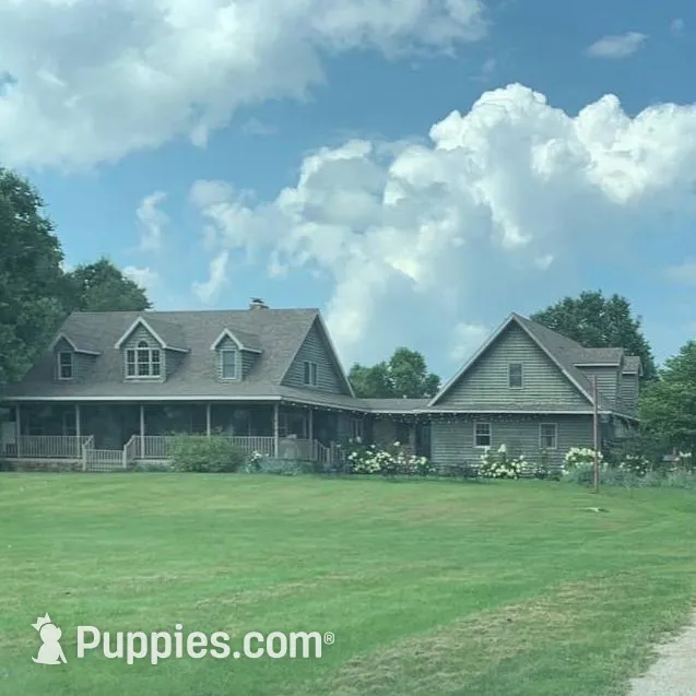 processed/f01143dc-56a8-4b7a-a9eb-a4e95b47c73f/facility/36b5eeb5-9c25-4d11-ab4c-06bea3850165