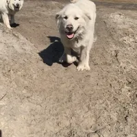 processed/f01143dc-56a8-4b7a-a9eb-a4e95b47c73f/facility/50038ec8-9864-49e0-84f4-822cca9b44e9