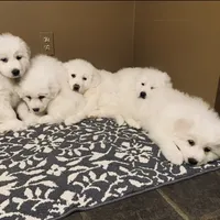 processed/f01143dc-56a8-4b7a-a9eb-a4e95b47c73f/facility/50d40faf-6f2f-462e-a80a-6e5f8bf3d34f