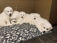 processed/f01143dc-56a8-4b7a-a9eb-a4e95b47c73f/facility/50d40faf-6f2f-462e-a80a-6e5f8bf3d34f