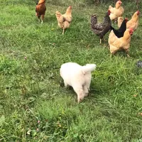 processed/f01143dc-56a8-4b7a-a9eb-a4e95b47c73f/facility/649f3765-9da7-4955-9c98-886bb2417a0f