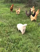 processed/f01143dc-56a8-4b7a-a9eb-a4e95b47c73f/facility/649f3765-9da7-4955-9c98-886bb2417a0f