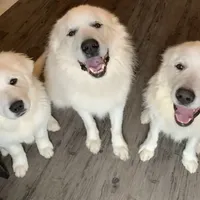 processed/f01143dc-56a8-4b7a-a9eb-a4e95b47c73f/facility/7a720642-a634-43d2-8fc2-205900565d0f