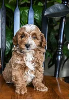 processed/f0129db1-a570-4fa2-a471-04b8fc32eb44/listing/6f0b4b85-ca71-4d66-a11e-489412db9125/31f0b1e0-8733-4194-aaa3-33874114b729