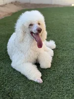 processed/f017e992-36dc-4509-aa9c-e3d79e45103b/facility/356b8f45-8a13-4147-af14-3d17809cef9c