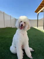 processed/f017e992-36dc-4509-aa9c-e3d79e45103b/facility/39fa134c-b489-4260-974d-7afaa59f525a