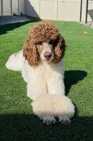 processed/f017e992-36dc-4509-aa9c-e3d79e45103b/facility/3c7254b6-9fac-4548-9346-70a3d5ec2415