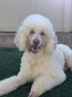 processed/f017e992-36dc-4509-aa9c-e3d79e45103b/facility/454cab36-b849-46fc-ad01-209f64bc0857