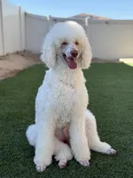 processed/f017e992-36dc-4509-aa9c-e3d79e45103b/facility/979ec0ee-ca5c-411e-8771-3dae440d548e