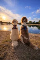 processed/f017e992-36dc-4509-aa9c-e3d79e45103b/facility/cd7a469b-6f4d-4458-8cbd-57ffdaca9dc4