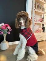 processed/f017e992-36dc-4509-aa9c-e3d79e45103b/facility/d4811fe6-d0a3-4b52-8abc-20d8a63a0bbc