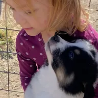 processed/f01ce2b7-7b2e-4bfe-bea2-7c9d62e5ea9e/facility/127a5240-3ea2-4e0c-bdec-b0e022f9fd23