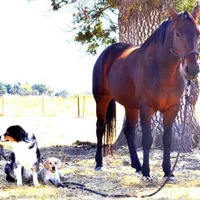 processed/f01ce2b7-7b2e-4bfe-bea2-7c9d62e5ea9e/facility/14a8cb9d-1268-4506-9f33-f2cd22910d88