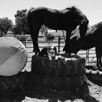 processed/f01ce2b7-7b2e-4bfe-bea2-7c9d62e5ea9e/facility/318f1850-eb10-4014-a79d-b6b11bd19dd2