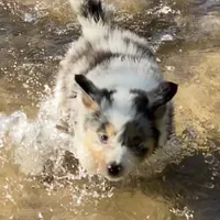 processed/f01ce2b7-7b2e-4bfe-bea2-7c9d62e5ea9e/facility/3c7ad9fa-7726-4cb6-a88b-127fd31bdeaf