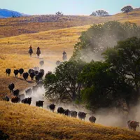 processed/f01ce2b7-7b2e-4bfe-bea2-7c9d62e5ea9e/facility/653f22ef-e9c8-42dd-b690-aa881083183f