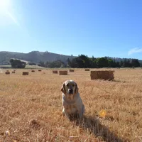 processed/f01ce2b7-7b2e-4bfe-bea2-7c9d62e5ea9e/facility/6f1b1abc-ec44-4359-91f7-9d17e7fd6182