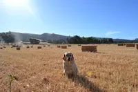 processed/f01ce2b7-7b2e-4bfe-bea2-7c9d62e5ea9e/facility/6f1b1abc-ec44-4359-91f7-9d17e7fd6182