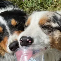 processed/f01ce2b7-7b2e-4bfe-bea2-7c9d62e5ea9e/facility/bfb155c2-742b-4d6b-bb73-3c5b41c3cb0f