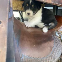 processed/f01ce2b7-7b2e-4bfe-bea2-7c9d62e5ea9e/facility/cdd19e71-830c-4435-9c18-e30e358f188b