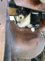 processed/f01ce2b7-7b2e-4bfe-bea2-7c9d62e5ea9e/facility/cdd19e71-830c-4435-9c18-e30e358f188b