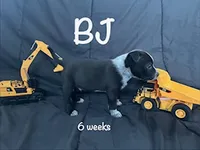 processed/f01d8399-32bb-4153-b528-82214c39f70d/listing/99f776d7-02ad-4efa-95ca-c6e32960ecbe/09267644-8e2c-4387-99c5-329981759ede