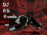 processed/f01d8399-32bb-4153-b528-82214c39f70d/listing/99f776d7-02ad-4efa-95ca-c6e32960ecbe/5c5bbab7-7eea-40f1-b876-c2c35e435d41