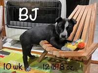 processed/f01d8399-32bb-4153-b528-82214c39f70d/listing/99f776d7-02ad-4efa-95ca-c6e32960ecbe/dcf72409-521c-4bc1-af62-d85d131fcdf8