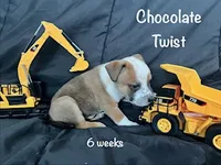 processed/f01d8399-32bb-4153-b528-82214c39f70d/listing/9f77df78-18e9-4c44-b7c1-86e9bed6888e/3bc54def-d165-4506-9e77-4b8e4b046c5b