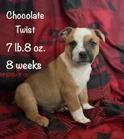 processed/f01d8399-32bb-4153-b528-82214c39f70d/listing/9f77df78-18e9-4c44-b7c1-86e9bed6888e/57b975ca-f937-4170-924e-0f1ac5cf4648