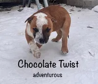 processed/f01d8399-32bb-4153-b528-82214c39f70d/listing/9f77df78-18e9-4c44-b7c1-86e9bed6888e/d3f3492f-6803-43d3-866a-5b1400316e9a