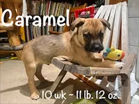 processed/f01d8399-32bb-4153-b528-82214c39f70d/listing/d608104d-13a9-4e64-a629-2310f915d009/6b9730d5-d1ee-46bf-823a-c234e0342e91