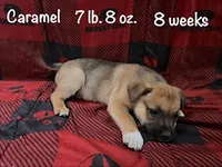 processed/f01d8399-32bb-4153-b528-82214c39f70d/listing/d608104d-13a9-4e64-a629-2310f915d009/91f04f89-e8f2-469d-9752-f7076ef8f8c0