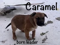 processed/f01d8399-32bb-4153-b528-82214c39f70d/listing/d608104d-13a9-4e64-a629-2310f915d009/a48e8973-9826-41ba-ac0b-77a114bc438e