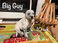 processed/f01d8399-32bb-4153-b528-82214c39f70d/listing/dbce0bab-d8e0-4d4e-a815-54470f2681c5/07776470-da92-409e-9b93-ea1ba9fcb93e