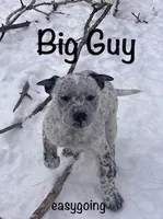 processed/f01d8399-32bb-4153-b528-82214c39f70d/listing/dbce0bab-d8e0-4d4e-a815-54470f2681c5/9d7653ad-f233-49fe-b307-618498d06860