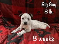 processed/f01d8399-32bb-4153-b528-82214c39f70d/listing/dbce0bab-d8e0-4d4e-a815-54470f2681c5/b0db47a3-7309-4df7-afc9-c656f1d00865