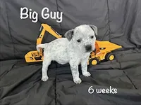 processed/f01d8399-32bb-4153-b528-82214c39f70d/listing/dbce0bab-d8e0-4d4e-a815-54470f2681c5/c65cbfc8-d511-431e-ac84-f9261c8d460e