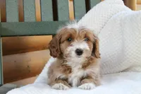 processed/f0302c54-3676-4be1-bdc5-946b8ddcd995/listing/a42ee426-fb3b-49e4-bec5-2a677a793d0c/819f31ac-734d-4574-9b99-ae1b81703e10